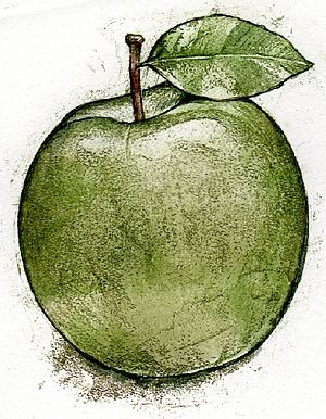 "Grüner Apfel" (333) 