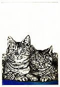 "Zwei Katzen" (143) 